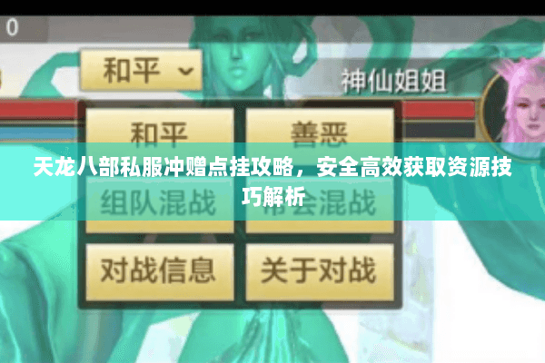 天龙八部私服冲赠点挂攻略，安全高效获取资源技巧解析