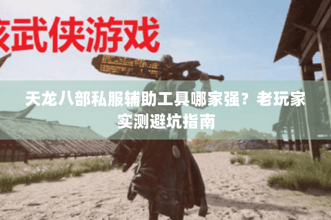 天龙八部私服辅助工具哪家强？老玩家实测避坑指南