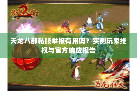天龙八部私服举报有用吗？实测玩家维权与官方响应报告