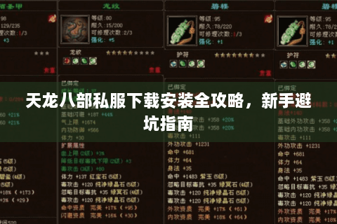 天龙八部私服下载安装全攻略，新手避坑指南