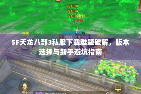 SF天龙八部3私服下载难题破解，版本选择与新手避坑指南