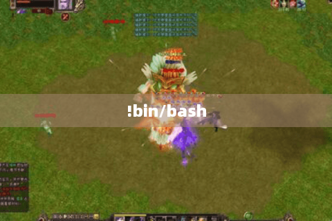 !bin/bash