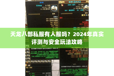 天龙八部私服有人服吗？2024年真实评测与安全玩法攻略