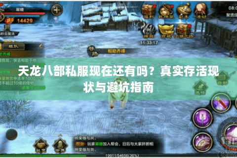 天龙八部私服现在还有吗？真实存活现状与避坑指南
