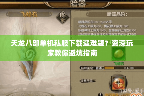 天龙八部单机私服下载遇难题？资深玩家教你避坑指南