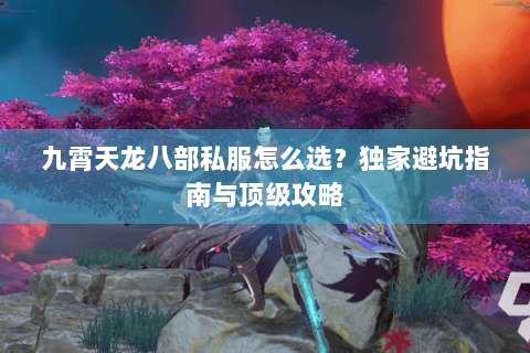 九霄天龙八部私服怎么选？独家避坑指南与顶级攻略