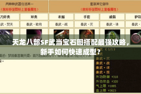 天龙八部SF武当宝石图搭配最强攻略，新手如何快速成型？