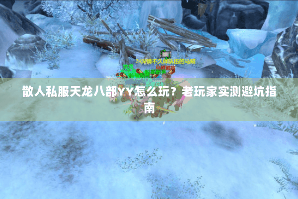 散人私服天龙八部YY怎么玩？老玩家实测避坑指南
