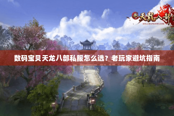 数码宝贝天龙八部私服怎么选？老玩家避坑指南