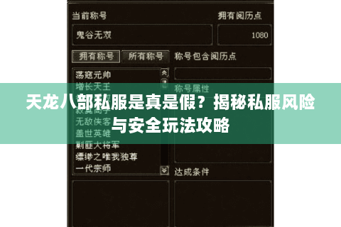 天龙八部私服是真是假？揭秘私服风险与安全玩法攻略