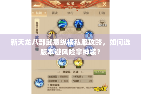 新天龙八部武意纵横私服攻略，如何选版本避风险拿神装？