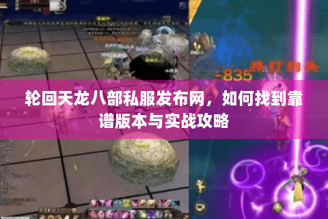 轮回天龙八部私服发布网，如何找到靠谱版本与实战攻略
