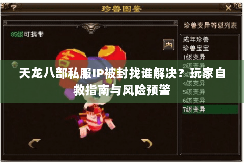 天龙八部私服IP被封找谁解决？玩家自救指南与风险预警