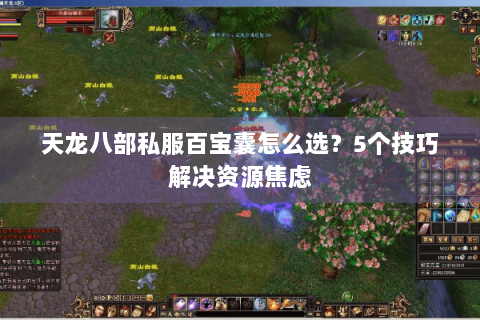 天龙八部私服百宝囊怎么选？5个技巧解决资源焦虑