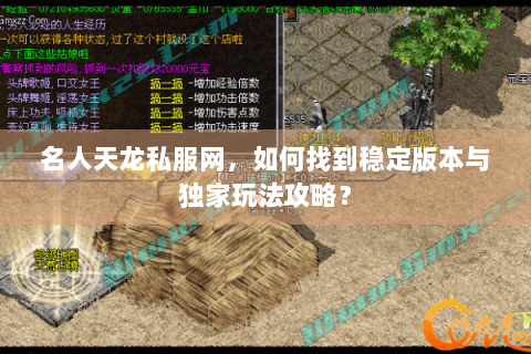 名人天龙私服网，如何找到稳定版本与独家玩法攻略？