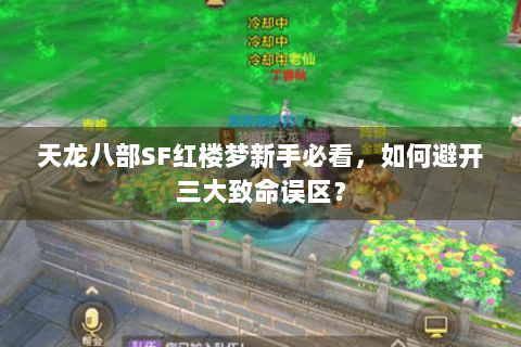 天龙八部SF红楼梦新手必看，如何避开三大致命误区？