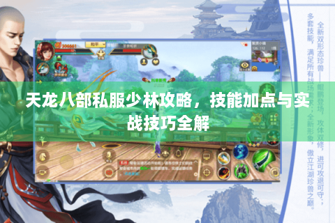 天龙八部私服少林攻略，技能加点与实战技巧全解