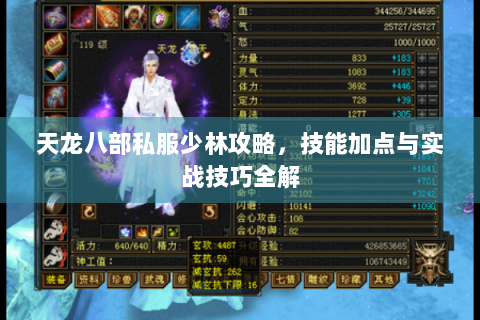 天龙八部私服少林攻略，技能加点与实战技巧全解