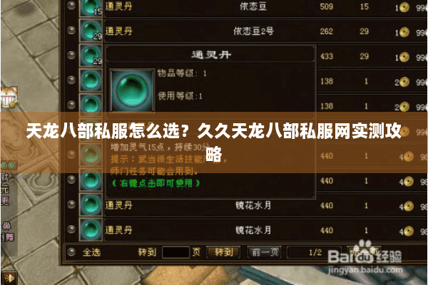 天龙八部私服怎么选？久久天龙八部私服网实测攻略