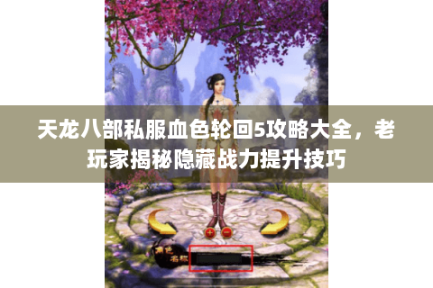 天龙八部私服血色轮回5攻略大全，老玩家揭秘隐藏战力提升技巧