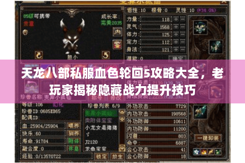 天龙八部私服血色轮回5攻略大全，老玩家揭秘隐藏战力提升技巧