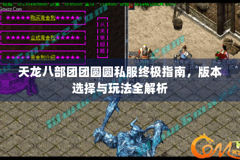 天龙八部团团圆圆私服终极指南，版本选择与玩法全解析