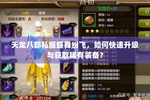天龙八部私服蝶舞纷飞，如何快速升级与获取稀有装备？