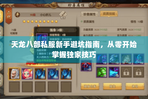 天龙八部私服新手避坑指南，从零开始掌握独家技巧