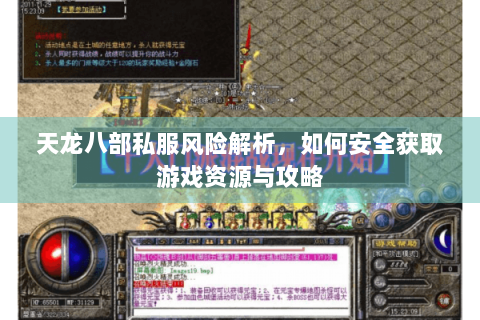 天龙八部私服风险解析，如何安全获取游戏资源与攻略