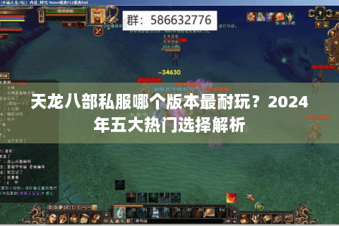 天龙八部私服哪个版本最耐玩？2024年五大热门选择解析