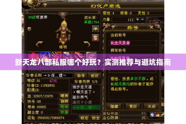 新天龙八部私服哪个好玩？实测推荐与避坑指南