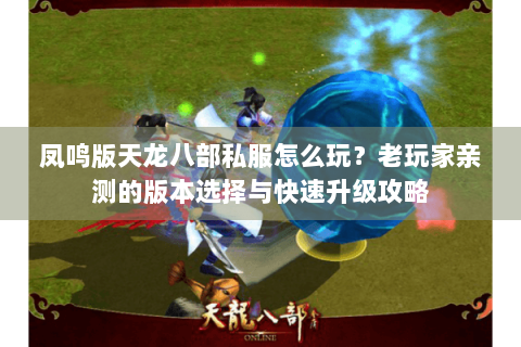 凤鸣版天龙八部私服怎么玩？老玩家亲测的版本选择与快速升级攻略