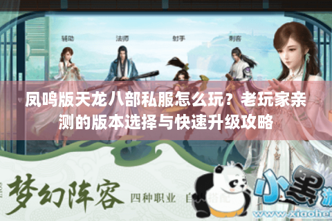 凤鸣版天龙八部私服怎么玩？老玩家亲测的版本选择与快速升级攻略