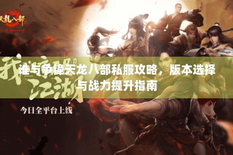 谁与争锋天龙八部私服攻略，版本选择与战力提升指南