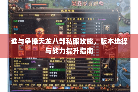 谁与争锋天龙八部私服攻略，版本选择与战力提升指南