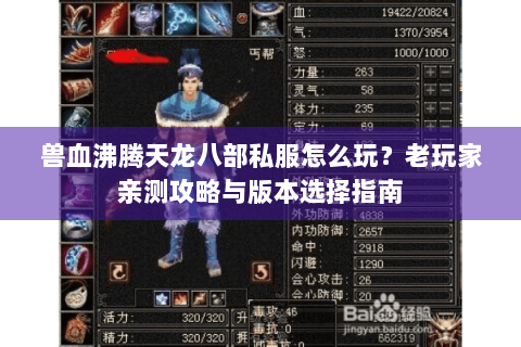 兽血沸腾天龙八部私服怎么玩？老玩家亲测攻略与版本选择指南