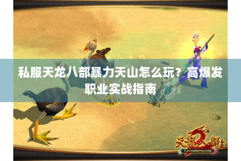 私服天龙八部暴力天山怎么玩？高爆发职业实战指南
