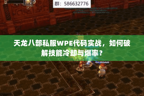天龙八部私服WPE代码实战，如何破解技能冷却与爆率？