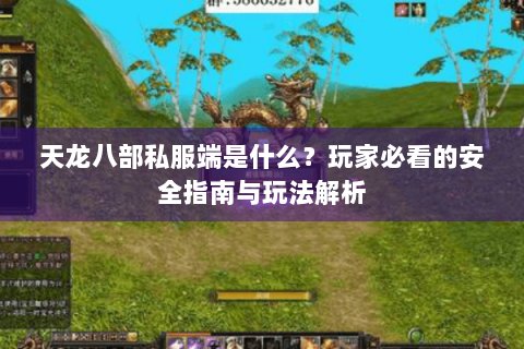 天龙八部私服端是什么？玩家必看的安全指南与玩法解析