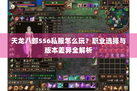 天龙八部556私服怎么玩？职业选择与版本差异全解析