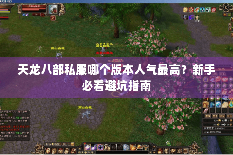 天龙八部私服哪个版本人气最高？新手必看避坑指南