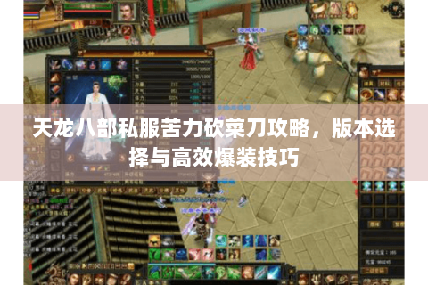 天龙八部私服苦力砍菜刀攻略，版本选择与高效爆装技巧