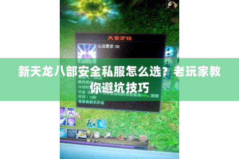 新天龙八部安全私服怎么选？老玩家教你避坑技巧