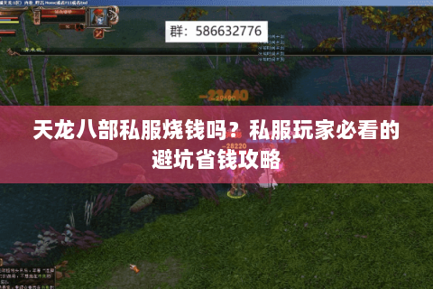 天龙八部私服烧钱吗？私服玩家必看的避坑省钱攻略