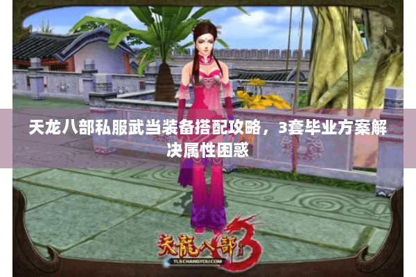 天龙八部私服武当装备搭配攻略，3套毕业方案解决属性困惑