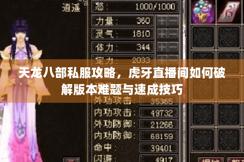 天龙八部私服攻略，虎牙直播间如何破解版本难题与速成技巧