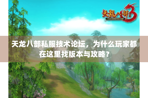 天龙八部私服技术论坛，为什么玩家都在这里找版本与攻略？