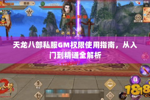 天龙八部私服GM权限使用指南，从入门到精通全解析