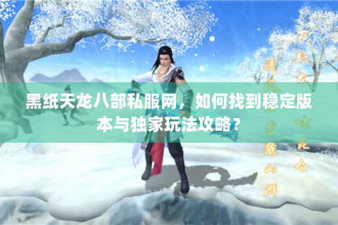 黑纸天龙八部私服网，如何找到稳定版本与独家玩法攻略？