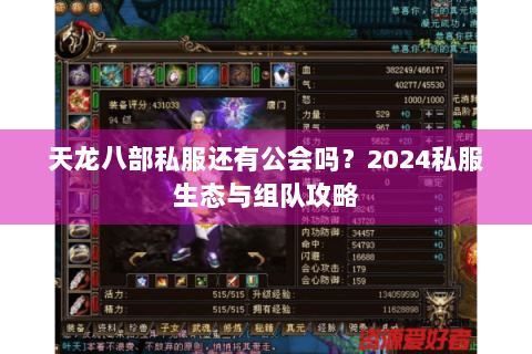 天龙八部私服还有公会吗？2024私服生态与组队攻略